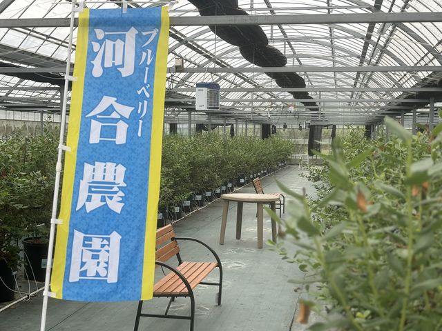 河合農園