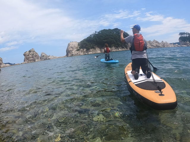 Nature Life