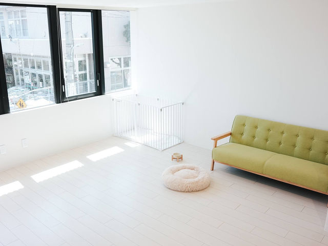 施設内観_豆柴体験カフェ one room