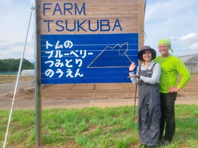 農園の看板が目印です。
みなさまのご来園をお待ちしております♪_トムのブルーベリー(ヴァンシィケルファームつくば)