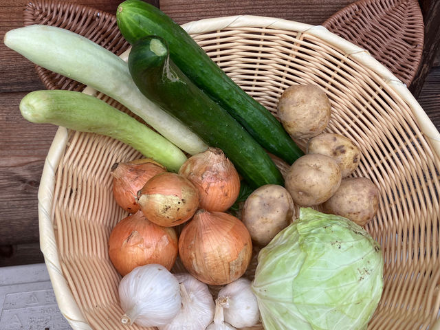なるべく固定種を選び、めずらしいお野菜もあります。白きゅうりはみなさまに驚かれます。_庄兵衛さんのやさい畑