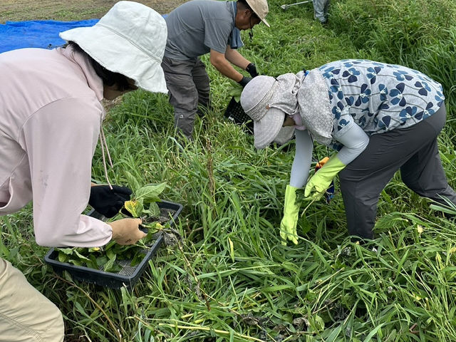 みんなで作業をしながらかく汗は氣持ちがいいです。_庄兵衛さんのやさい畑
