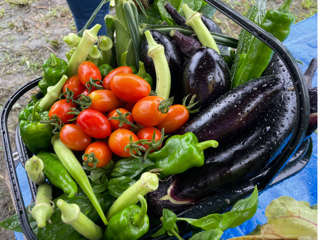 the Veggie