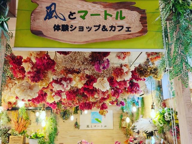 風とマートル(くるめブーゲンの森内)