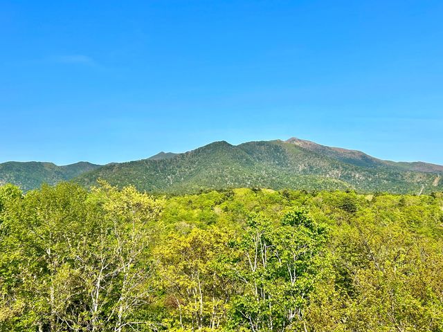 ホテルアポイ山荘前から見たアポイ岳の様子_ホテル アポイ山荘