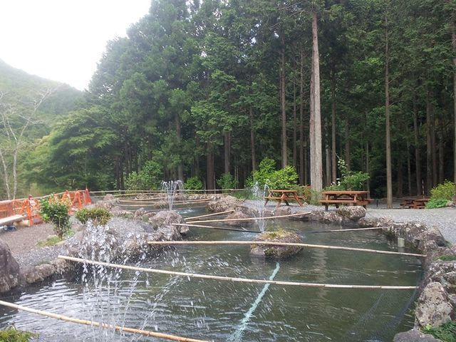 釣り堀
_やまめの里みつの