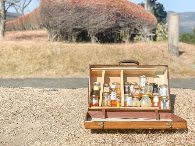 100種類近くのはちみつを食べ比べ出来ます!_berich養蜂場 丹波篠山