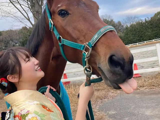 トゥルバドゥール_柏乗馬クラブ
