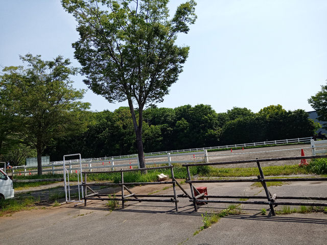 柏乗馬クラブ