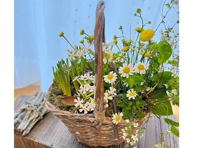 生花のレッスン バスケットの寄植えアレンジ_アジューレ AZURE