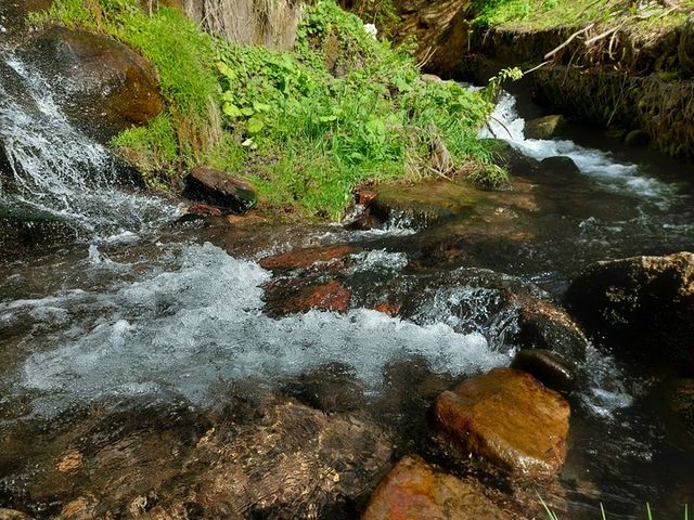 水風呂は天然の川。春から秋まで平均水温8〜10度_ハネサウナ