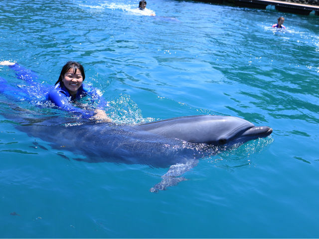 海とつながった広いイケスで泳げるよ♪_ドルフィンベェイス