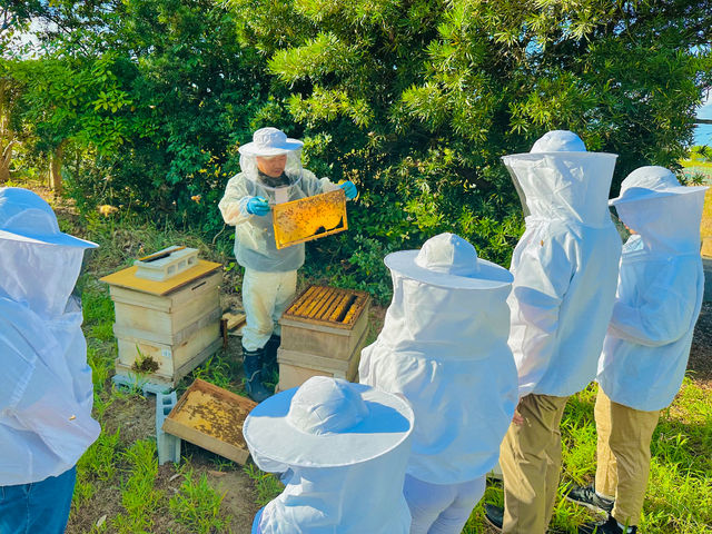 養蜂体験。養蜂着を着て、養蜂家から目の前で巣箱の中のミツバチの様子や生態を学ぶことができます。_HANAP