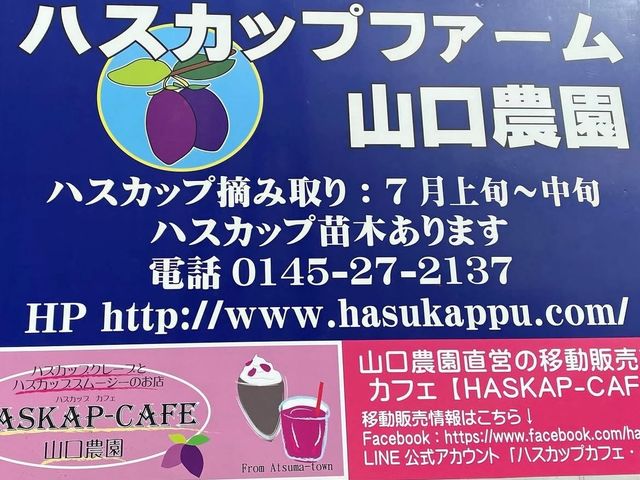 ハスカップファーム山口農園