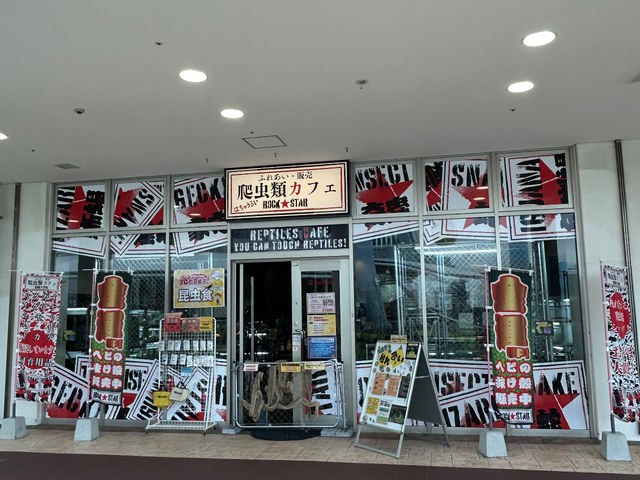 観覧車前にある店の外観です。
入り口にはリクガメ店内放し飼いにしているリクガメが出ないように柵があるのですが、ご自由にお入り下さい!_爬虫類カフェ ROCK STAR りんくうシークル店