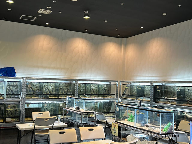 店内触れ合いスペースになります。
触れ合いが可能な爬虫類スタッフをテーブルで触れ合い可能になります!_爬虫類カフェ ROCK STAR りんくうシークル店