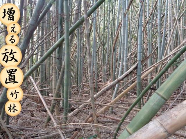 竹灯り工房