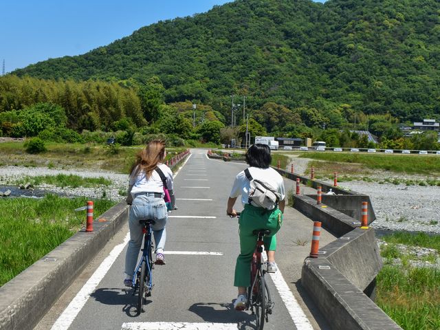 REP徳島