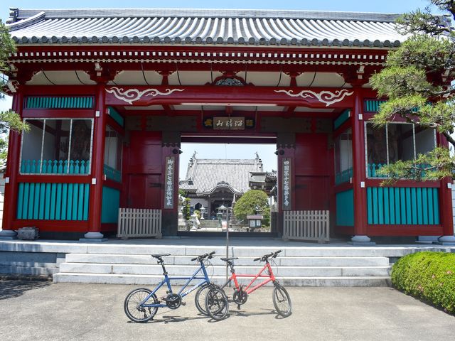 REP徳島