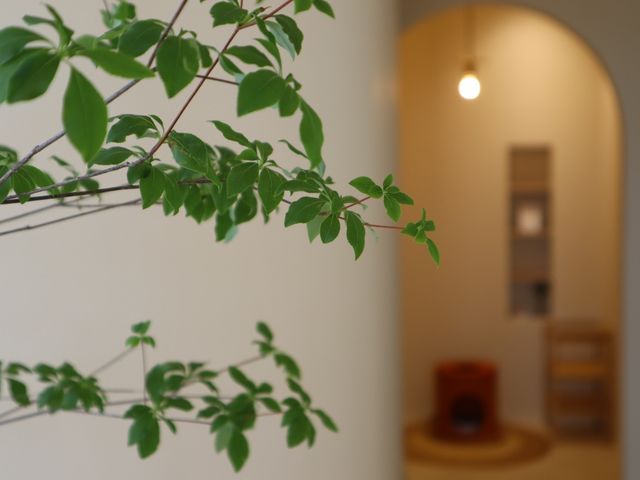 温活よもぎ蒸し専門店 温座