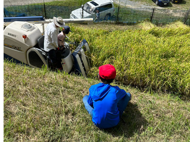 コンバインの乗車体験も運が良ければできます♪_能勢長谷の棚田