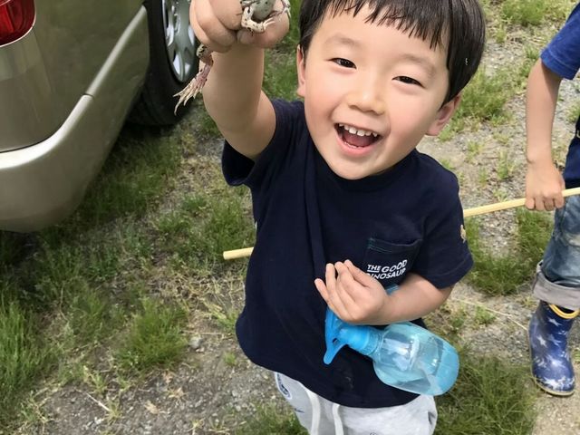 カエルやたくさんの動植物に触れ合えます_能勢長谷の棚田
