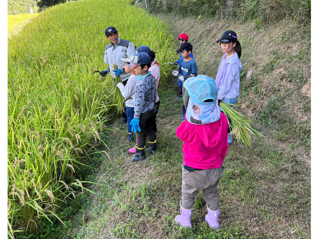 たくさんのお子さまにご参加いただいています_能勢長谷の棚田