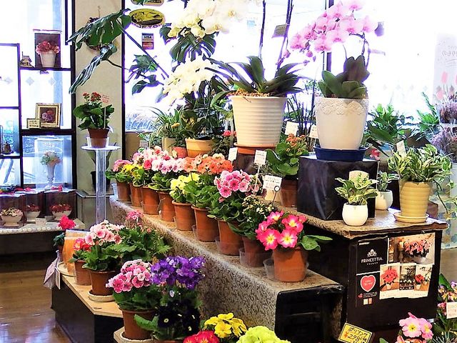 明るい店内_フローリスト ボンマルセ