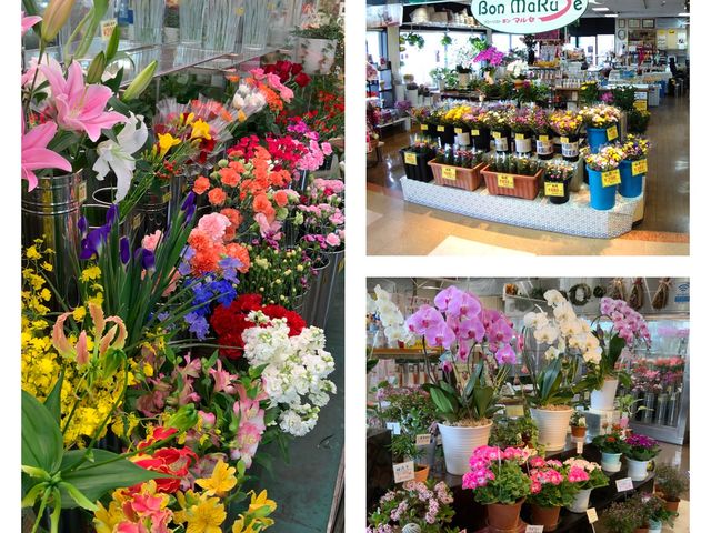 店頭全景、花鉢コーナー、切り花キーパー
_フローリスト ボンマルセ