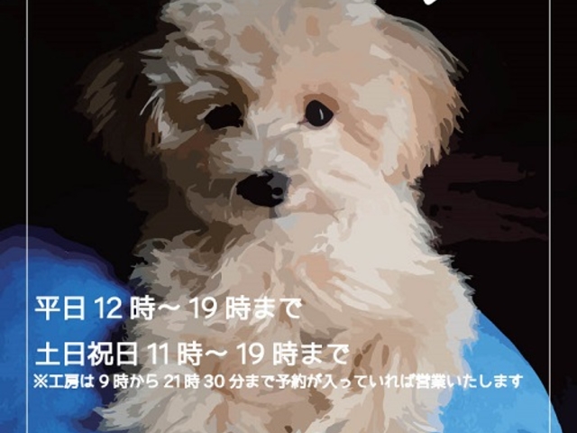 運が良ければわんこに合えるよ_aowa