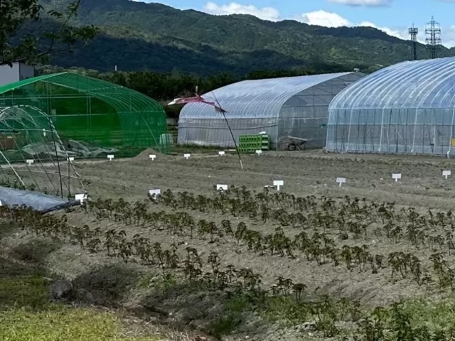体験型のHAT農園_HAT農園