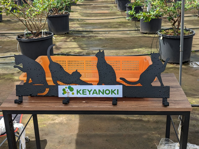 ブルーベリーファームKEYANOKI
