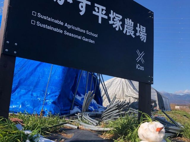 こんな看板が目印です!【いかす平塚農場】_いかす平塚農場