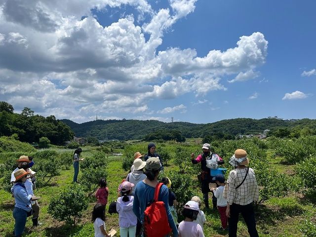 気持ちのいいブルーベリーの畑です!_いかす平塚農場