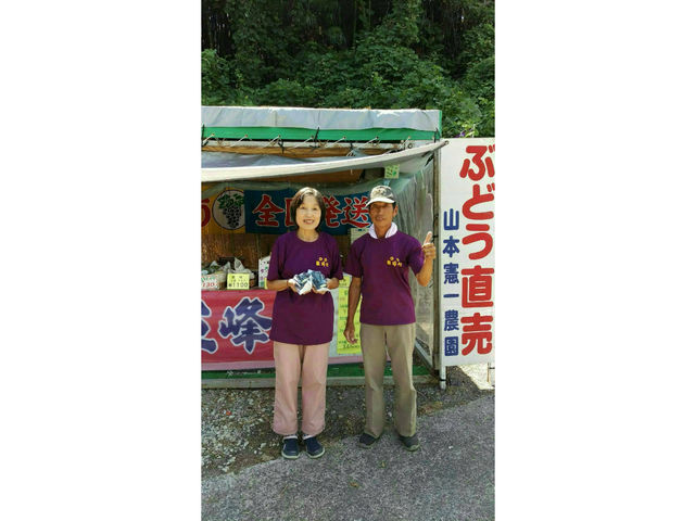 山憲ぶどう園です。
_山憲ぶどう園