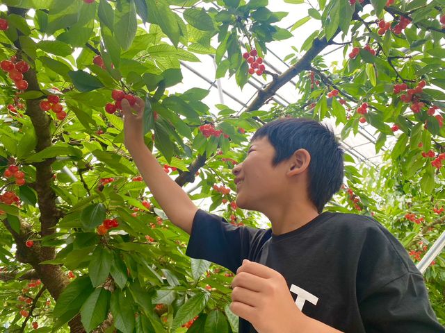お子様にも大好評をいただいております♪_信州たかもり町北村農園