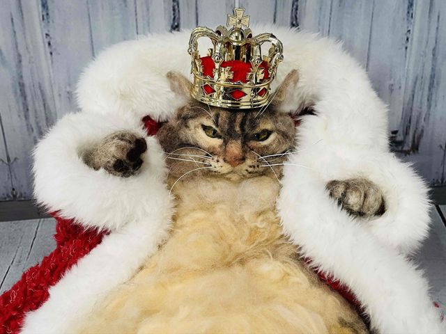 講師作品
王様猫_乃澤叶子羊毛教室