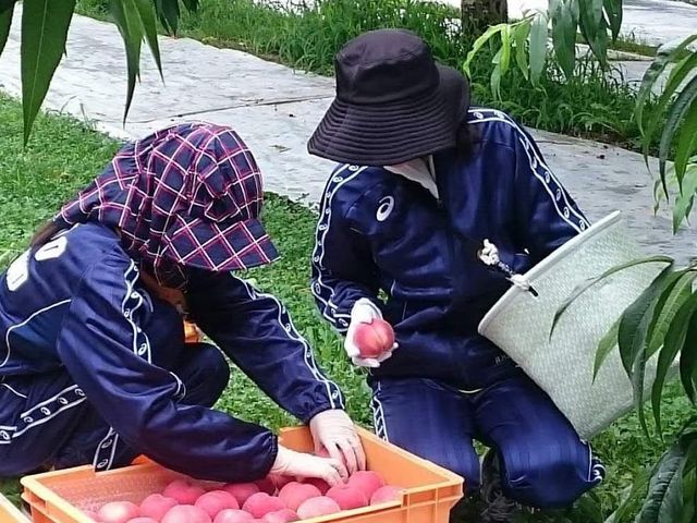 かんたファーム