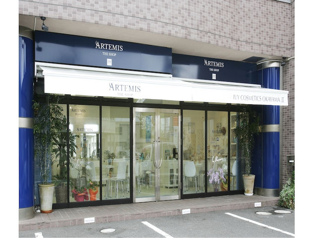 ARTEMIS okayama3