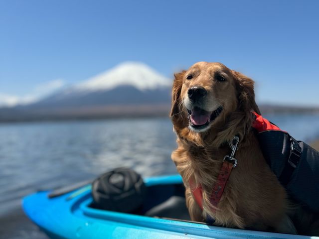 NaturaBase山中湖