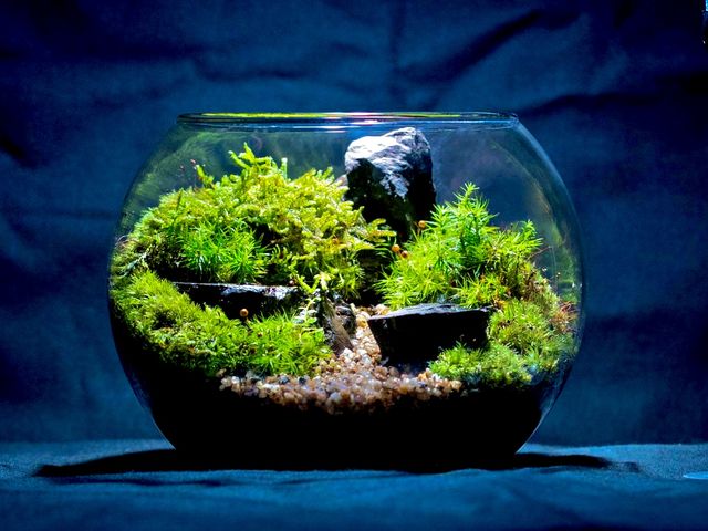 ワークショップ サンプル作品_THE GREEN moss design