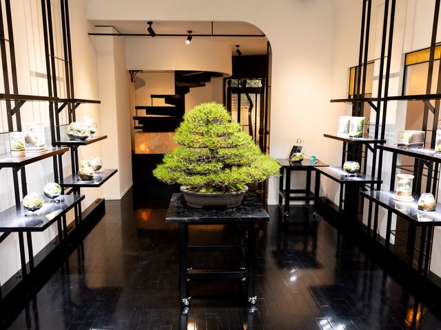 店舗内観@_THE GREEN moss design