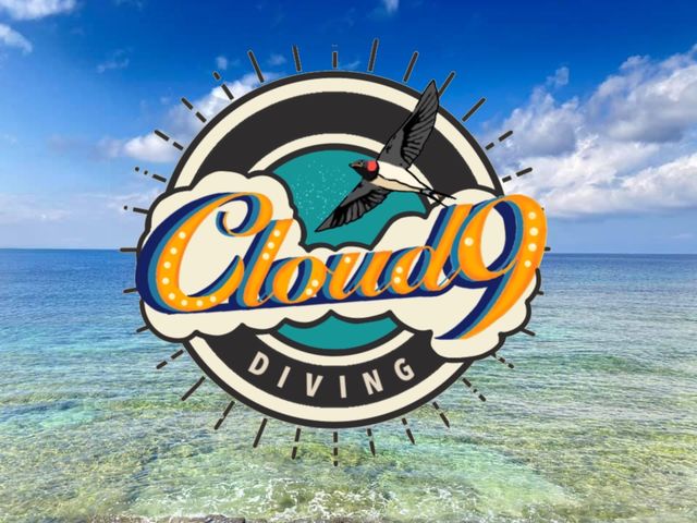 Cloud9