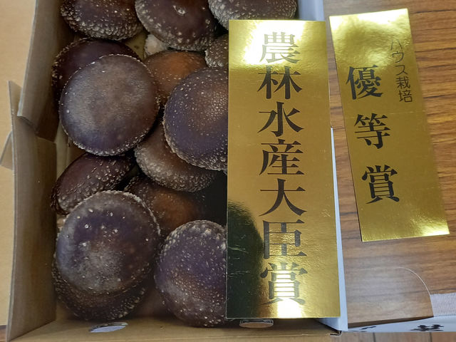 静岡県生椎茸品評会で農林水産大臣賞を
受賞しました。_MUSH しむら農園