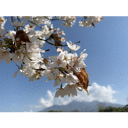 遠足倶楽部の写真3