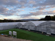 Bon Farmの写真2