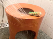 黄土漢方よもぎ蒸し Meteor Avenueの写真3