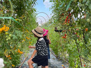 the Veggieの写真3
