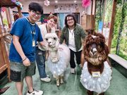 アルパカふれあいランドの写真3