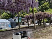 たまゆらBBQの写真4